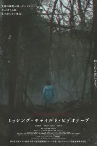 Видеозапись исчезновения ребёнка